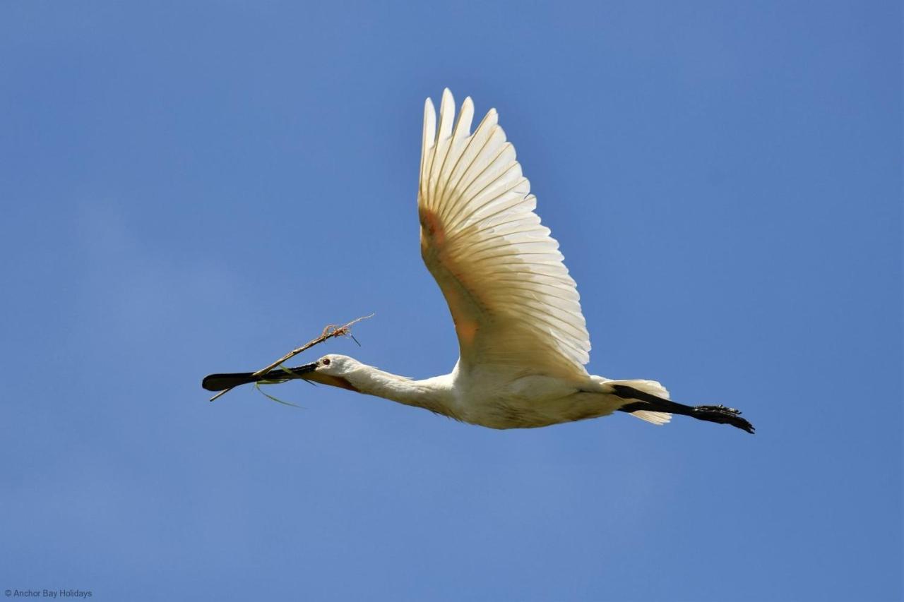 Spoonbill Cottage Filey Kültér fotó